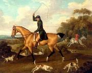 unknow artist Classical hunting fox, Equestrian and Beautiful Horses, 216. oil on canvas